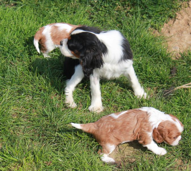 Les bébés 2012 profitent du jardin!!!